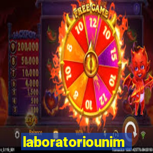 laboratoriounimedblumenau.com.br