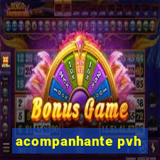 acompanhante pvh